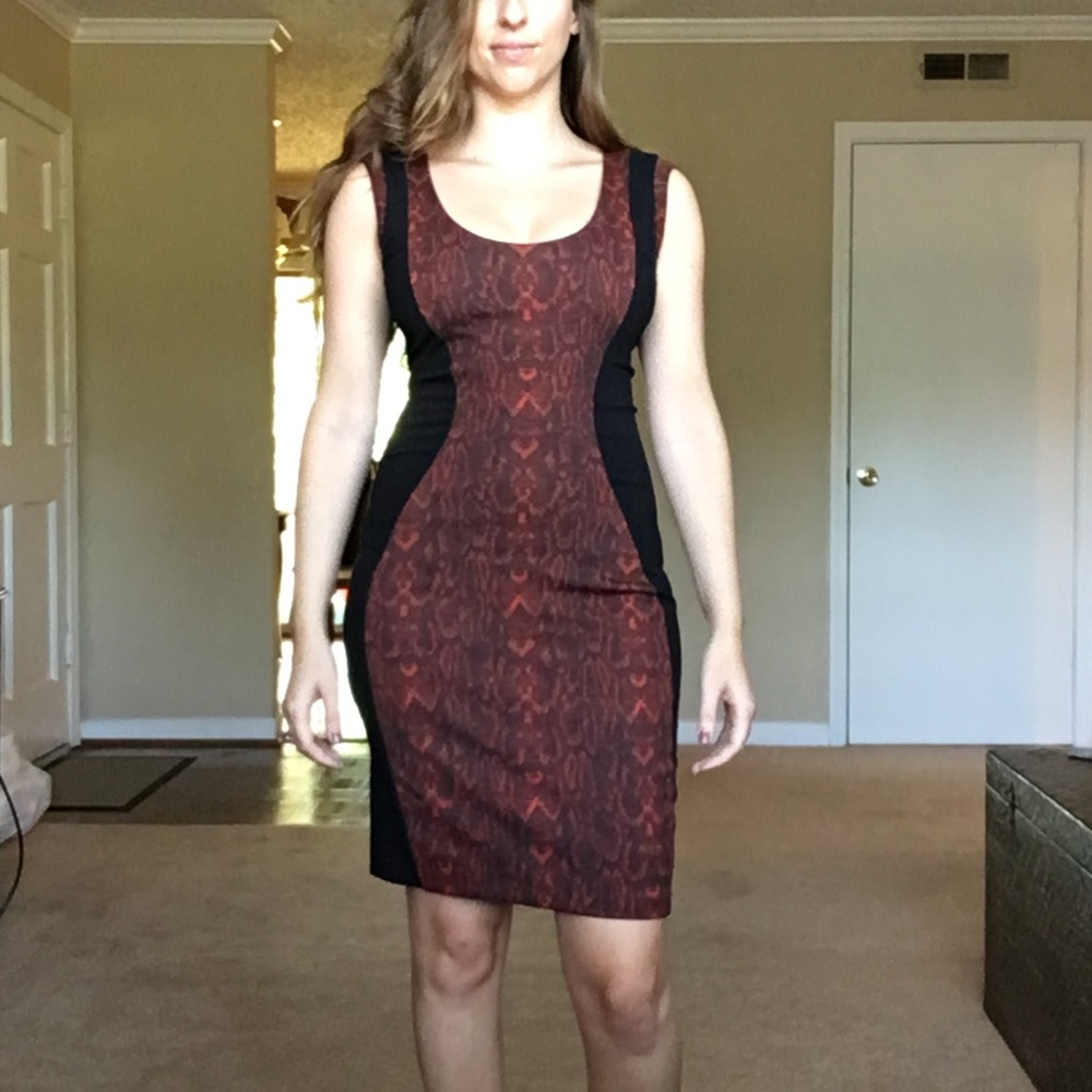 Mango python print sheath dress - Picture 4 of 5